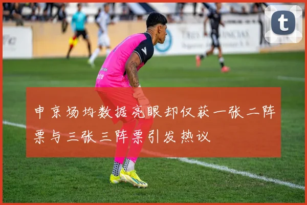申京场均数据亮眼却仅获一张二阵票与三张三阵票引发热议