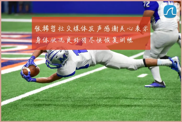 张稀哲社交媒体发声感谢关心表示身体状况良好将尽快恢复训练